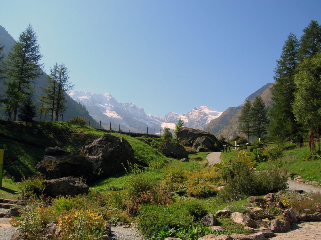 Giardino Botanico Alpino Paradisia in Valle D'Aosta